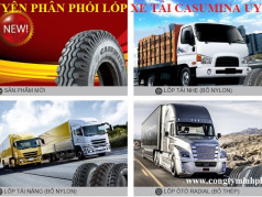 Lốp xe tải Bridgestone 385/65R225-R164-18pr-Thái
