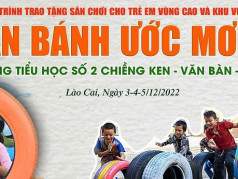 Ắc Quy Khô Đồng Nai CMF 31S-800 (12V-100Ah)